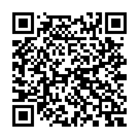 QR code for 388PUF