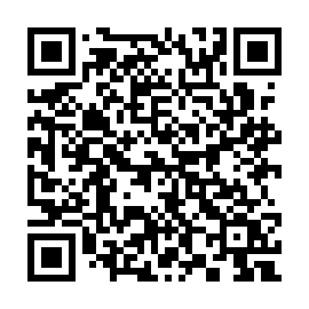 QR code for 389AGV