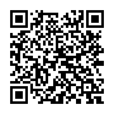 QR code for 389XSL