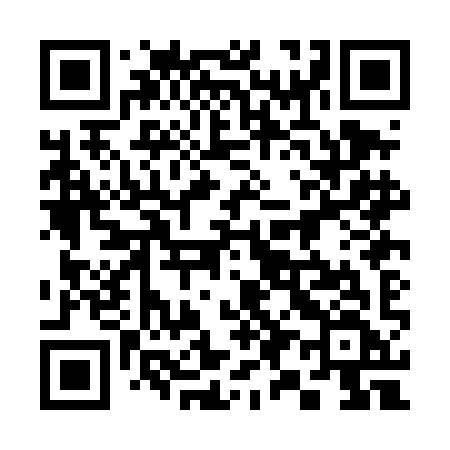 QR code for 390DIF