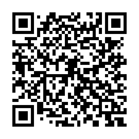 QR code for 390NOC