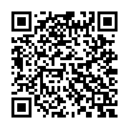 QR code for 390PJS