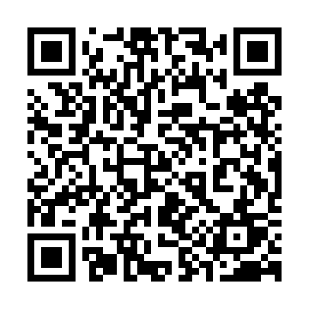 QR code for 391DST