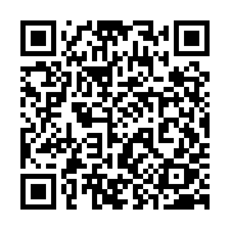 QR code for 393APX