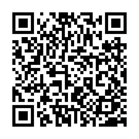 QR code for 393BZP