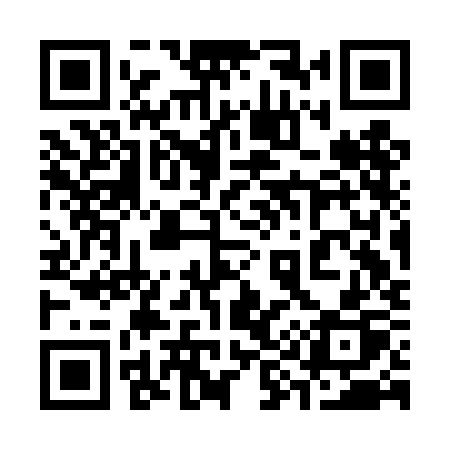 QR code for 393DKP