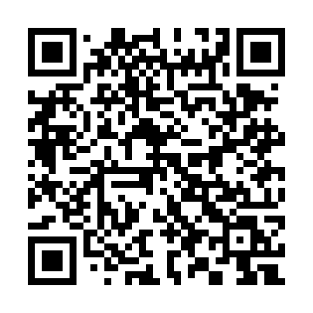 QR code for 393DOL