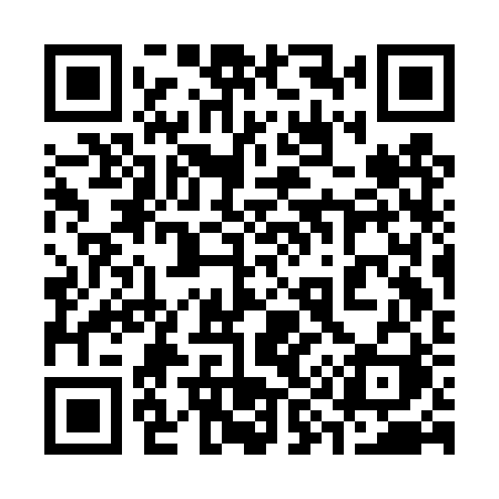QR code for 393DRI