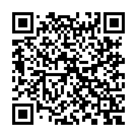 QR code for 393HOY