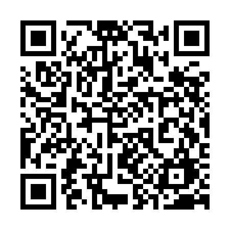 QR code for 393ICG