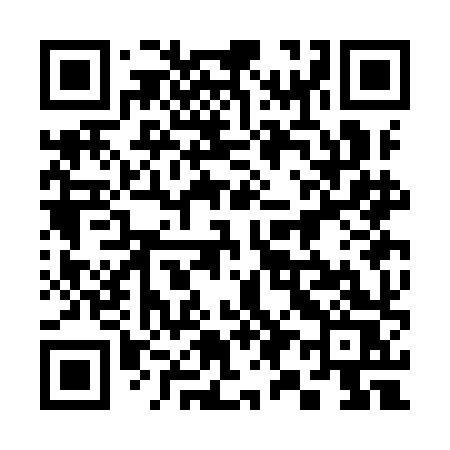 QR code for 393IHS