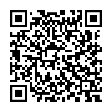 QR code for 393IMQ