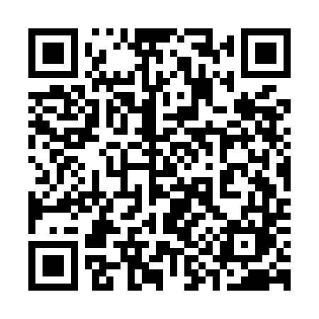 QR code for 393MDM