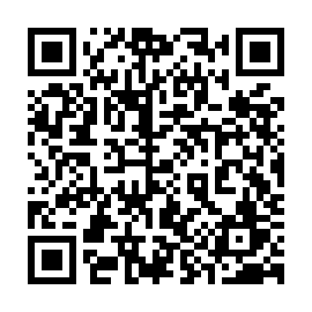 QR code for 393MKV