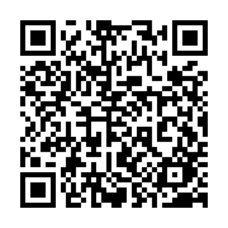QR code for 393MPO