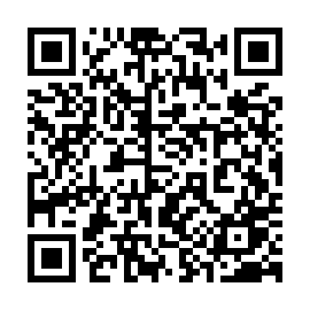 QR code for 393MPW
