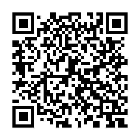 QR code for 393OUR