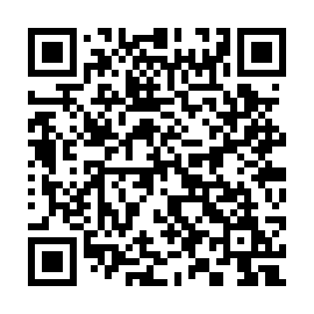 QR code for 393PSM