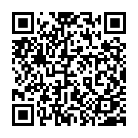 QR code for 393QQP