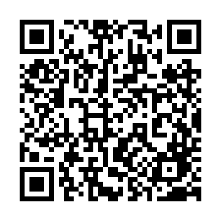 QR code for 393RTD