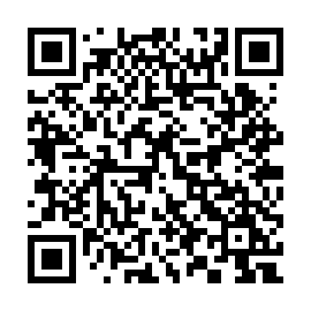 QR code for 393RTM