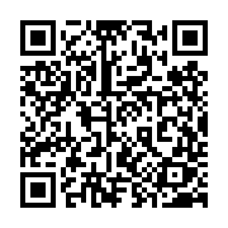 QR code for 393TTX