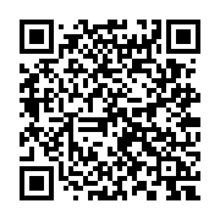 QR code for 393UNA