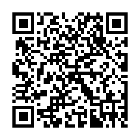 QR code for 393UNQ
