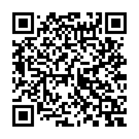 QR code for 393UST