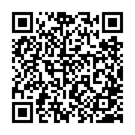 QR code for 393WLS