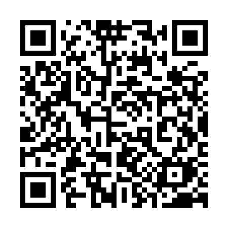 QR code for 393YSM