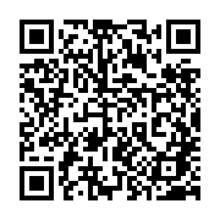 QR code for 393ZLA