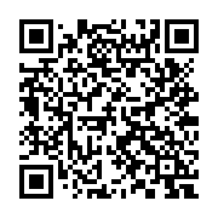 QR code for 393ZVI