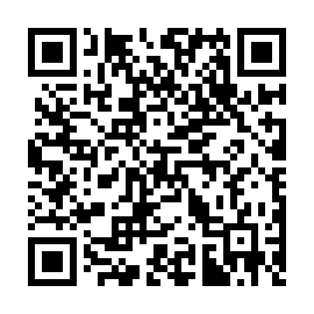 QR code for 394ICG