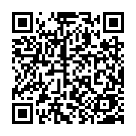 QR code for 394SWE