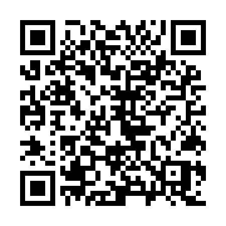 QR code for 395INP
