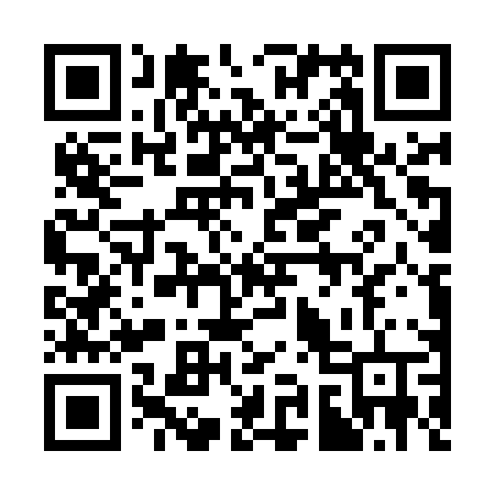 QR code for 396MPV