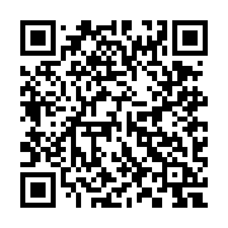 QR code for 397DIB