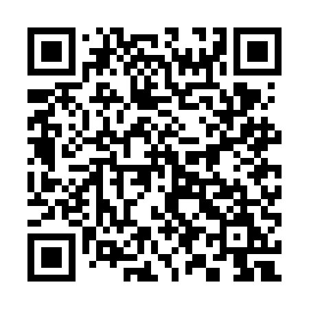QR code for 397FEM