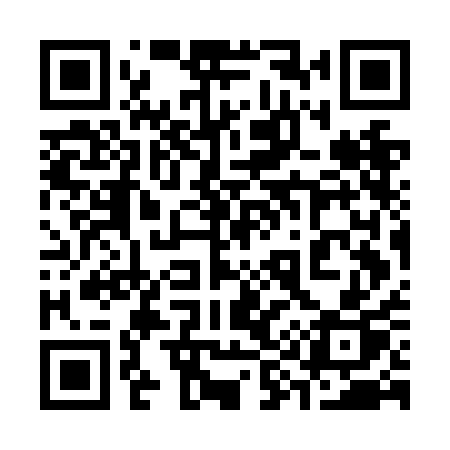 QR code for 397NAP