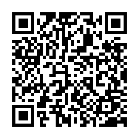 QR code for 397ZOT