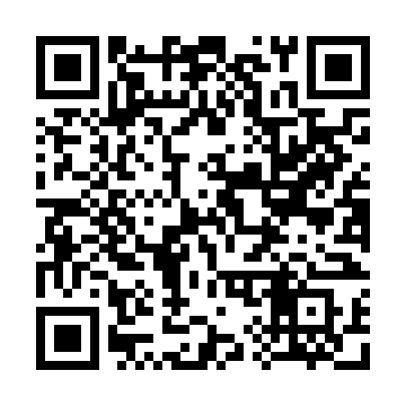 QR code for 398NNS