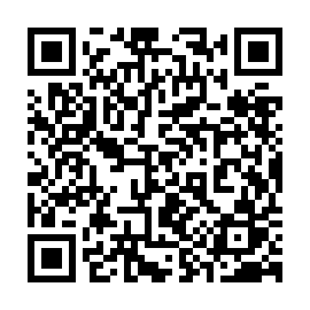 QR code for 399ZAR