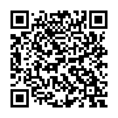 QR code for 411IRO