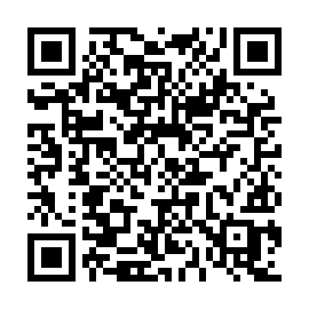 QR code for 411LIB