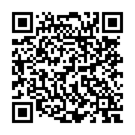QR code for 411LRY