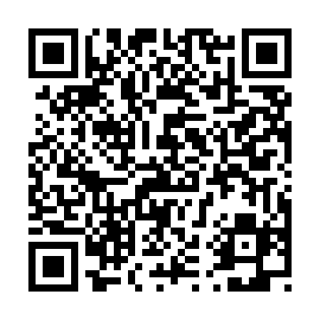 QR code for 411MEF
