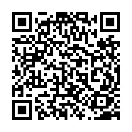 QR code for 411NUZ