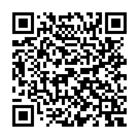 QR code for 411OZX
