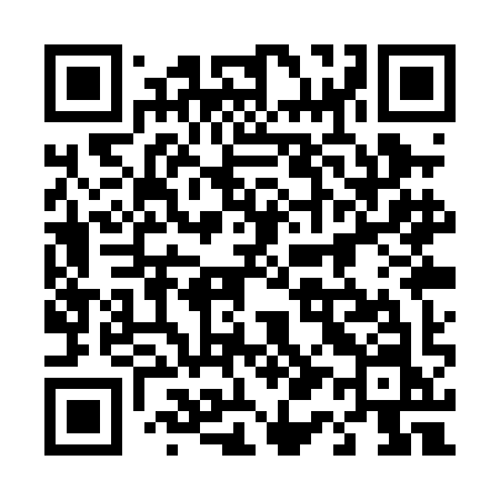 QR code for 411PIN